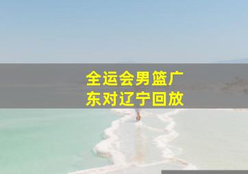 全运会男篮广东对辽宁回放