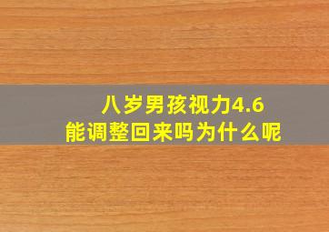 八岁男孩视力4.6能调整回来吗为什么呢