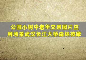 公园小树中老年交易图片应用场景武汉长江大桥森林按摩