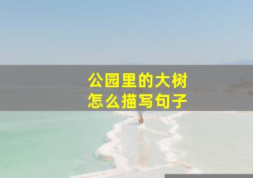 公园里的大树怎么描写句子