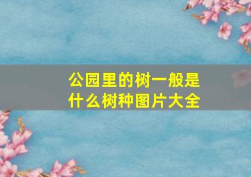 公园里的树一般是什么树种图片大全