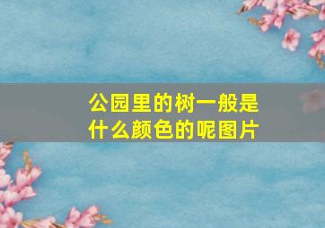 公园里的树一般是什么颜色的呢图片