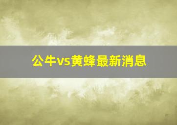 公牛vs黄蜂最新消息