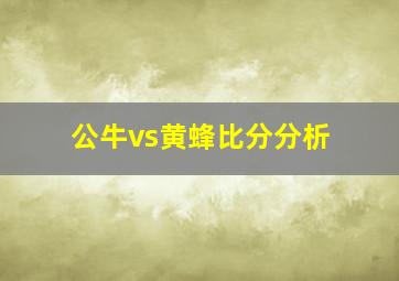 公牛vs黄蜂比分分析