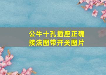 公牛十孔插座正确接法图带开关图片