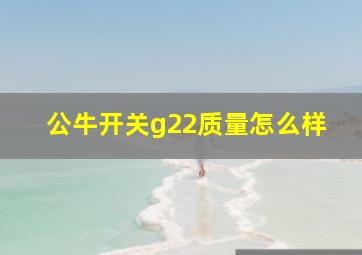 公牛开关g22质量怎么样