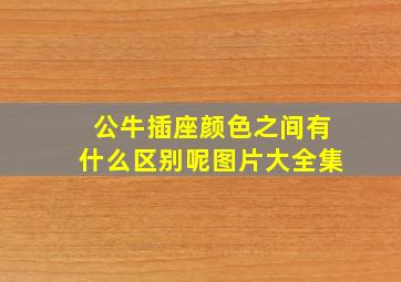 公牛插座颜色之间有什么区别呢图片大全集