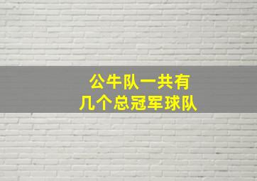 公牛队一共有几个总冠军球队