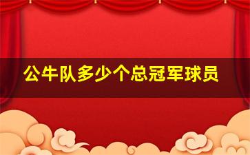 公牛队多少个总冠军球员