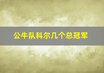 公牛队科尔几个总冠军