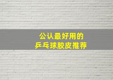 公认最好用的乒乓球胶皮推荐