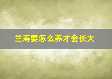 兰寿要怎么养才会长大