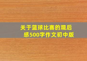 关于篮球比赛的观后感500字作文初中版