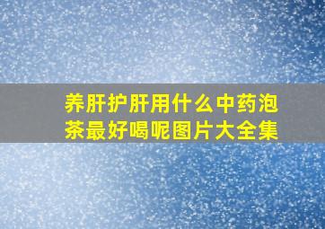 养肝护肝用什么中药泡茶最好喝呢图片大全集