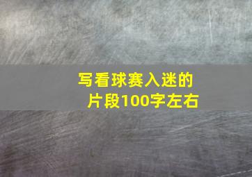 写看球赛入迷的片段100字左右