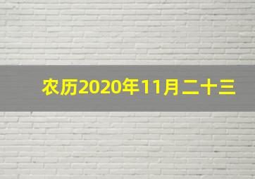 农历2020年11月二十三