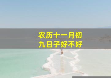 农历十一月初九日子好不好