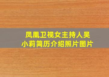 凤凰卫视女主持人吴小莉简历介绍照片图片