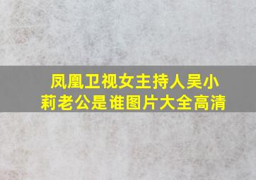 凤凰卫视女主持人吴小莉老公是谁图片大全高清