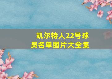 凯尔特人22号球员名单图片大全集