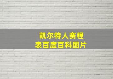 凯尔特人赛程表百度百科图片