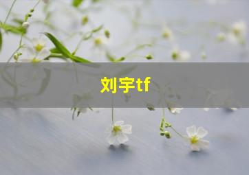 刘宇tf