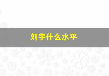 刘宇什么水平