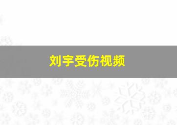 刘宇受伤视频