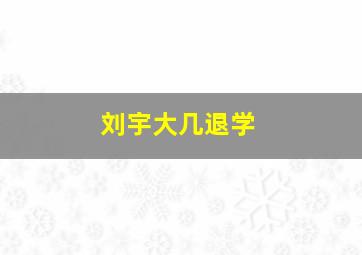 刘宇大几退学