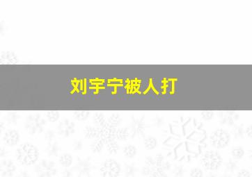 刘宇宁被人打