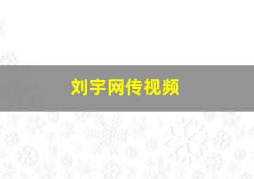 刘宇网传视频