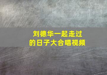 刘德华一起走过的日子大合唱视频