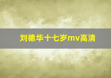 刘德华十七岁mv高清