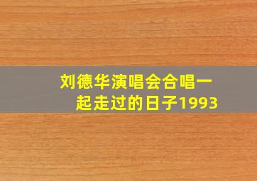 刘德华演唱会合唱一起走过的日子1993