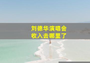 刘德华演唱会收入去哪里了