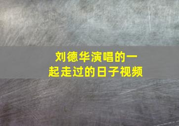 刘德华演唱的一起走过的日子视频