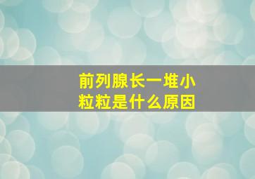 前列腺长一堆小粒粒是什么原因