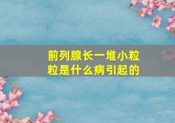 前列腺长一堆小粒粒是什么病引起的