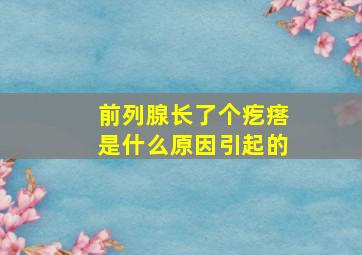 前列腺长了个疙瘩是什么原因引起的