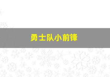 勇士队小前锋