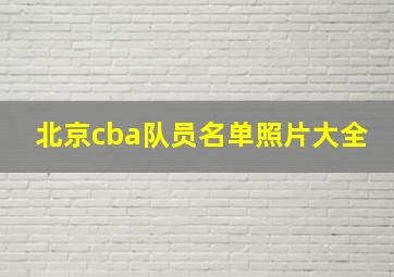 北京cba队员名单照片大全