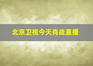 北京卫视今天肖战直播