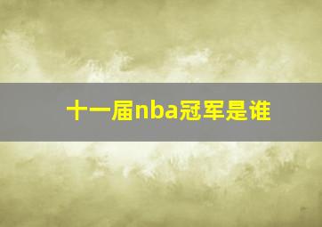 十一届nba冠军是谁