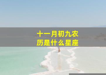 十一月初九农历是什么星座