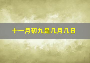 十一月初九是几月几日