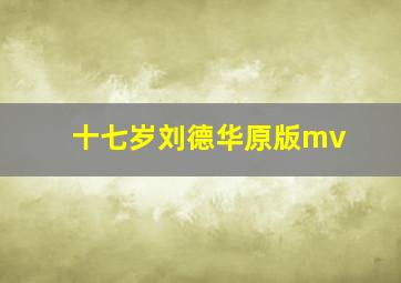 十七岁刘德华原版mv