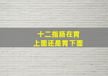 十二指肠在胃上面还是胃下面