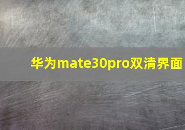 华为mate30pro双清界面