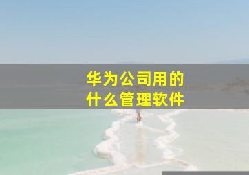 华为公司用的什么管理软件