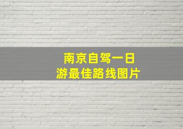 南京自驾一日游最佳路线图片